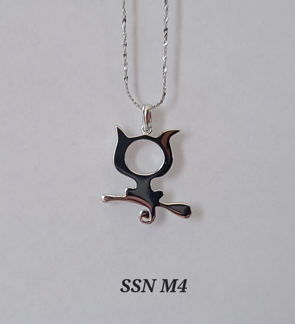 SSN M4