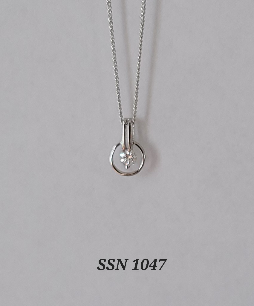 SSN1047