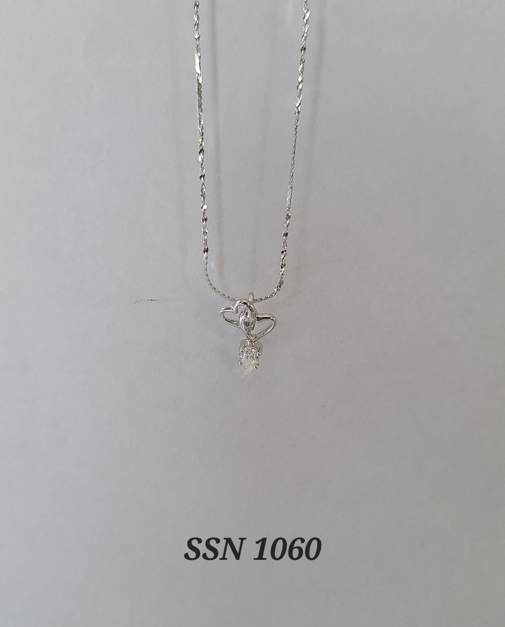 SSN1060