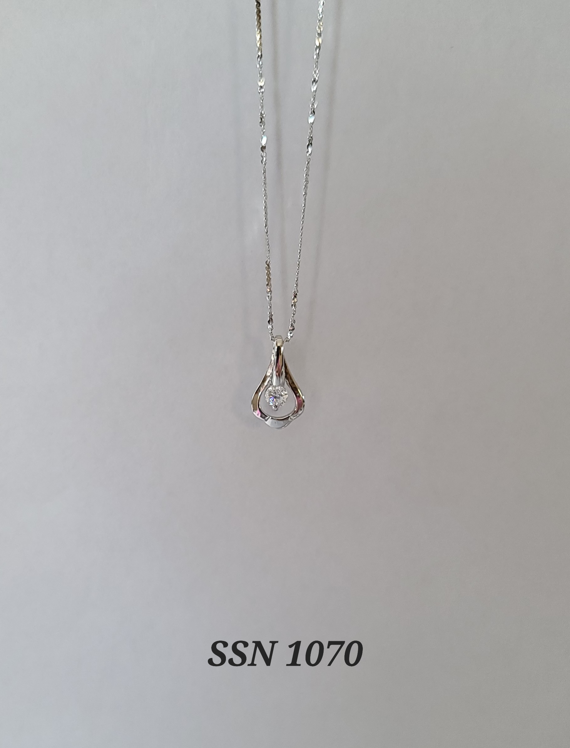 SSN1070