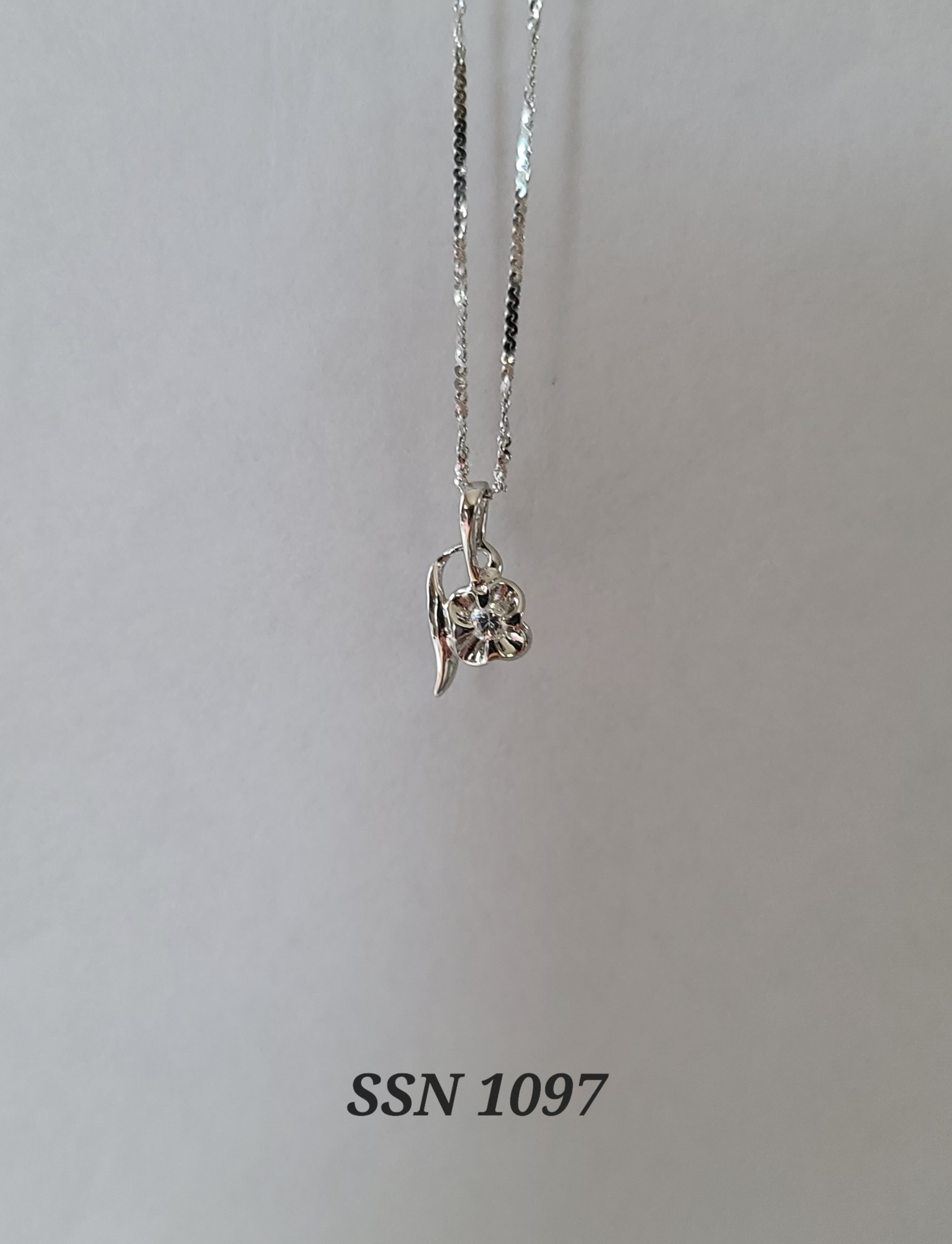 SSN1097