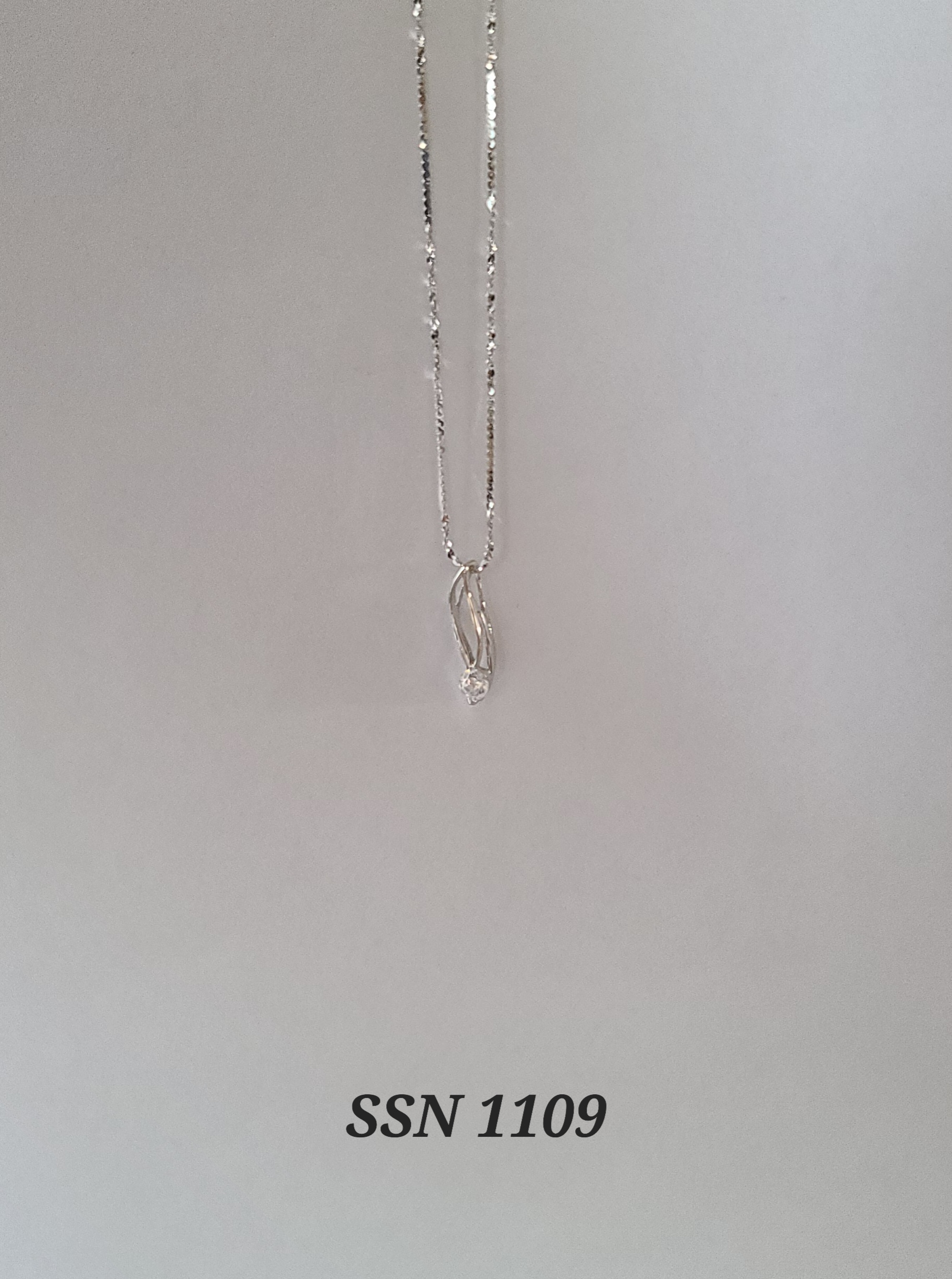 SSN1109