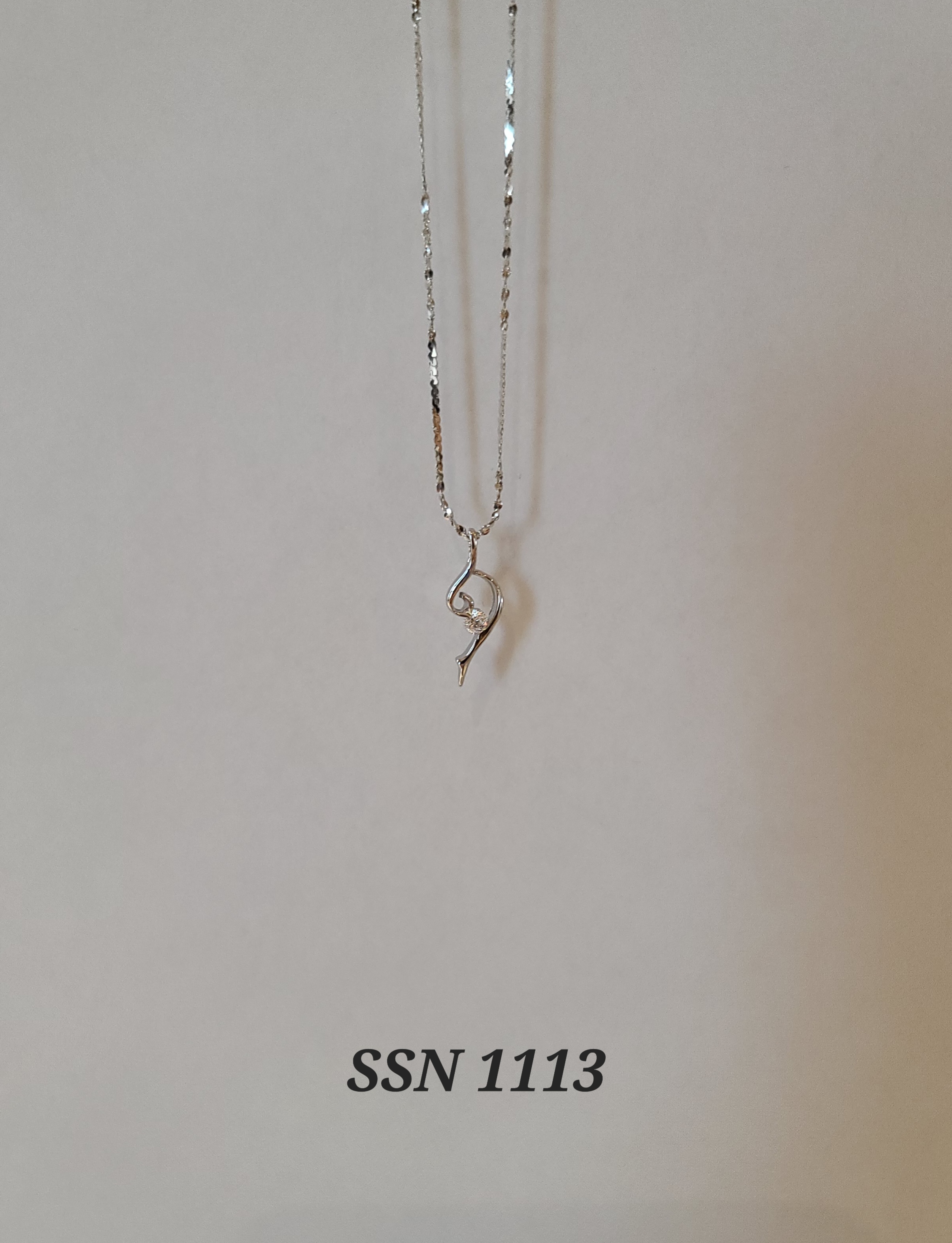 SSN1113