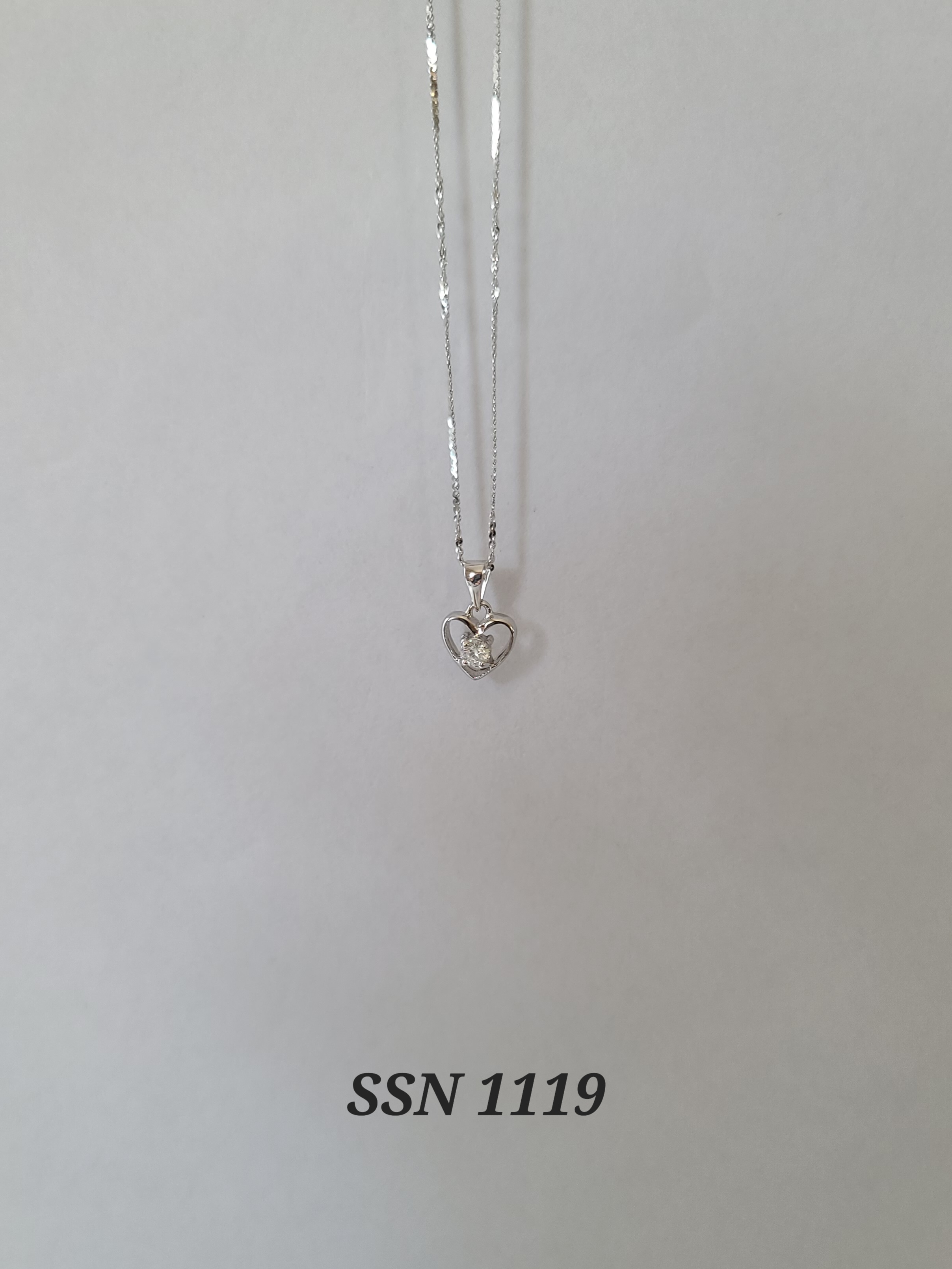 SSN1119