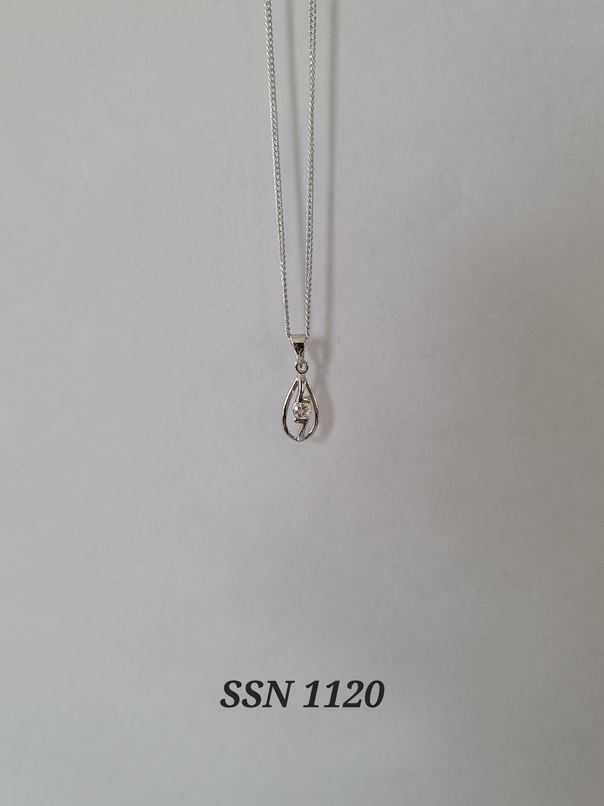 SSN1120