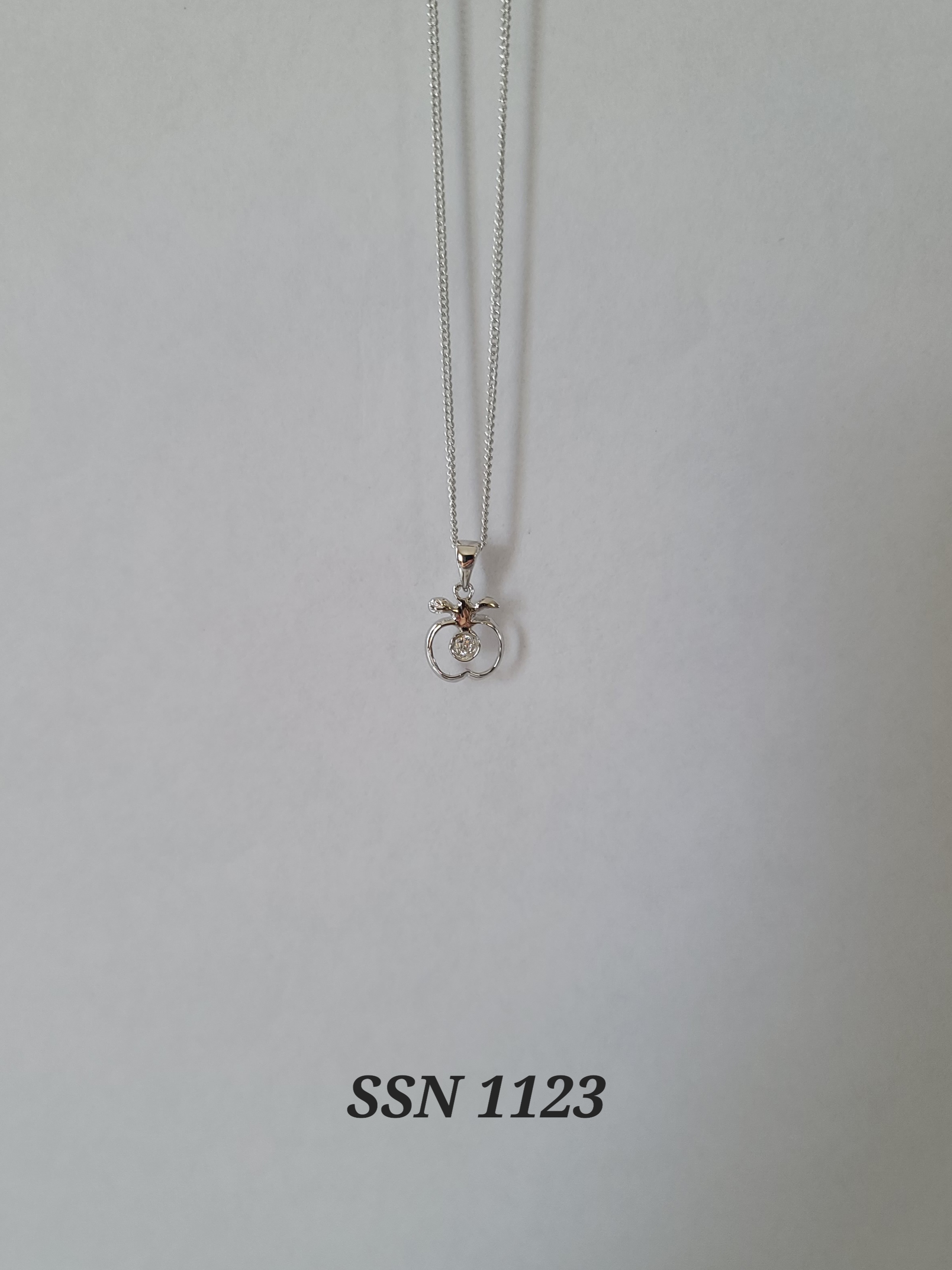 SSN1123