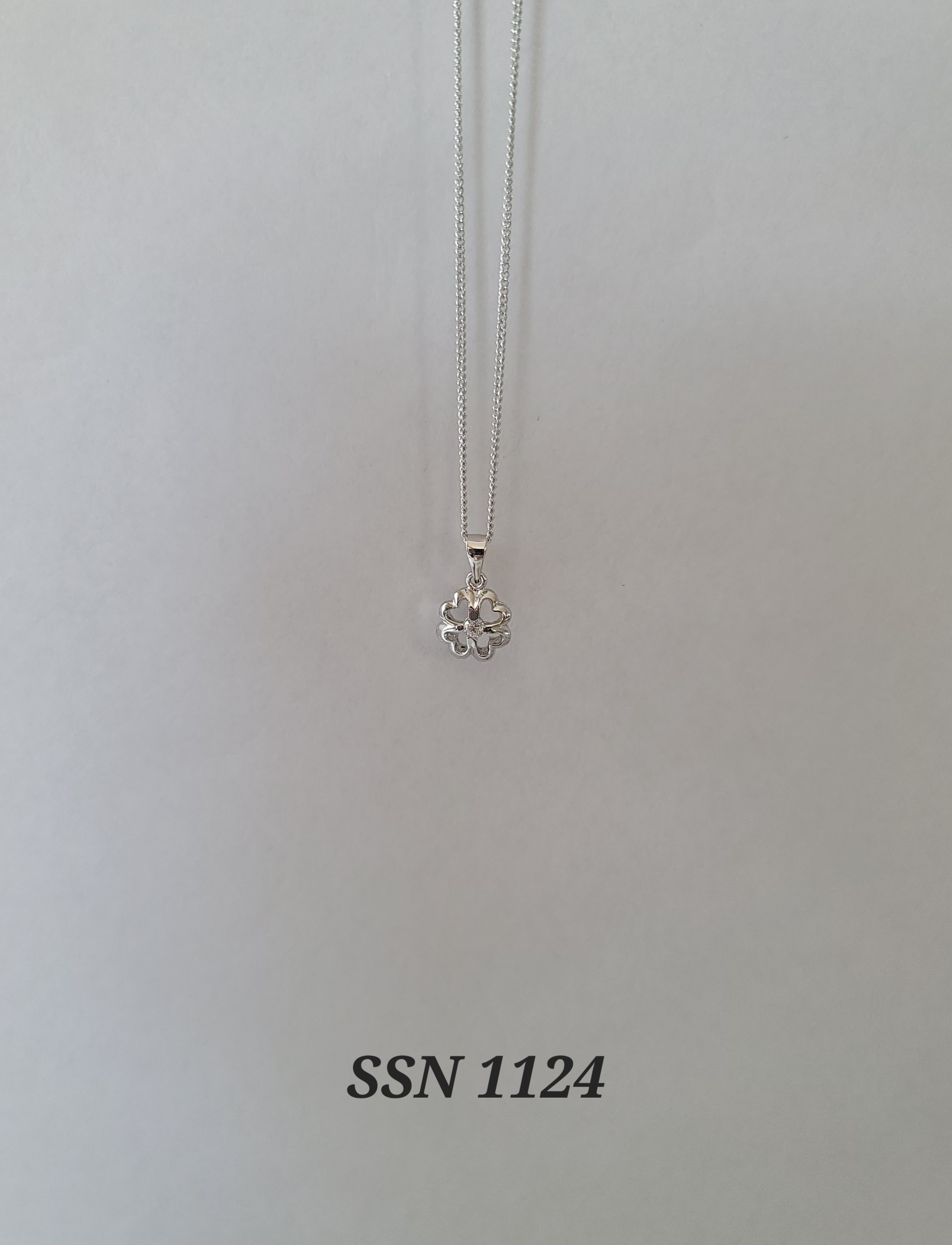 SSN1124