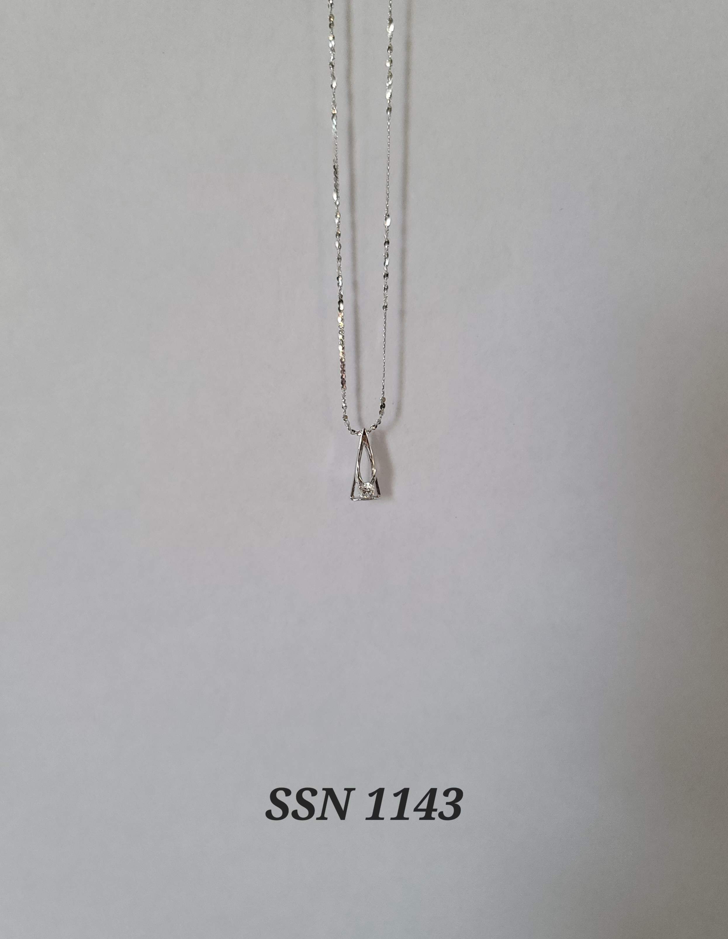SSN1143
