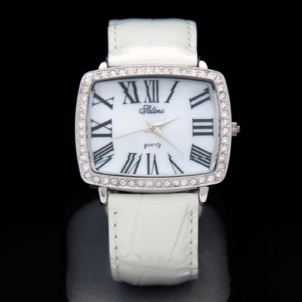 Watches - CW1213