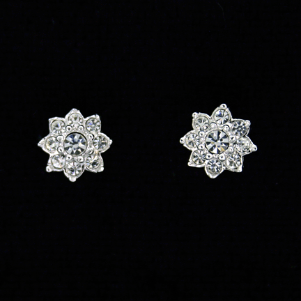 Earrings - E1184