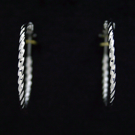 Earrings - E1215