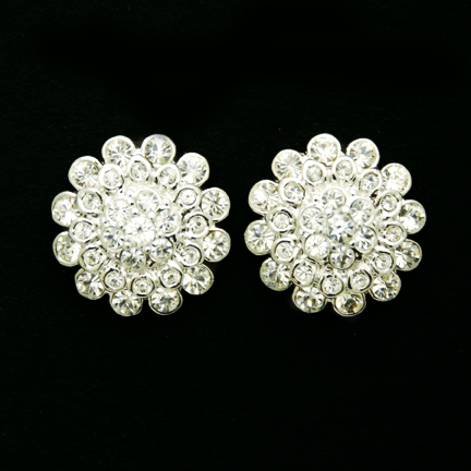 Earrings - E1251
