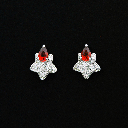 Earrings - E1277