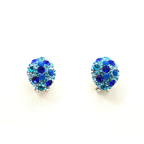 Earrings - E1367