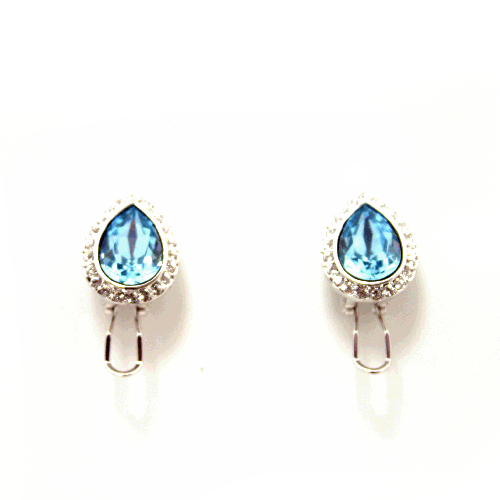 Earrings - E1384