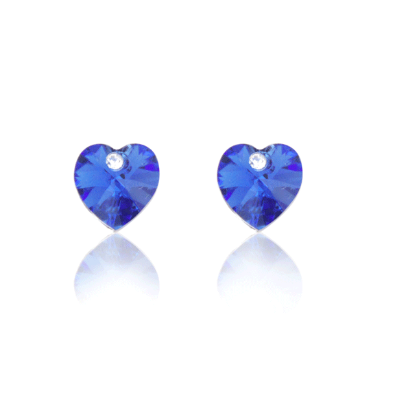 Earrings - E1454