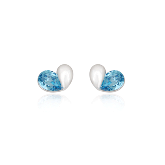 Earrings - E1456