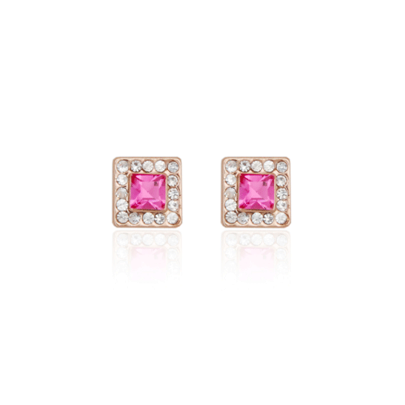 Earrings - E1470