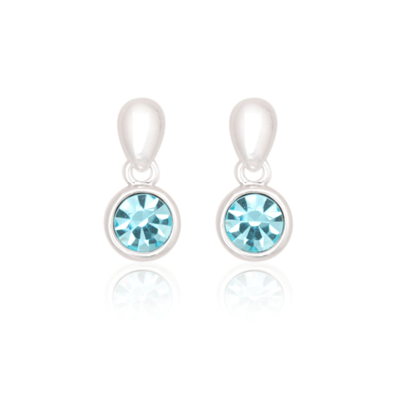 Earrings - E1471