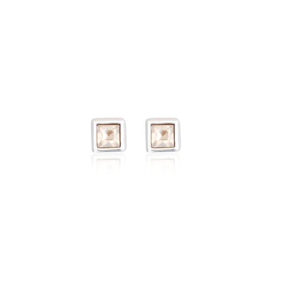 Earrings - E1477