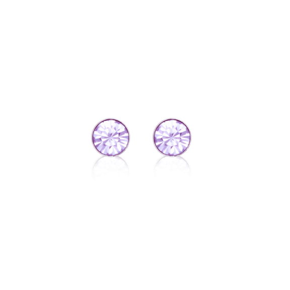 Earrings - E1485