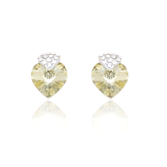 Earrings - E1495