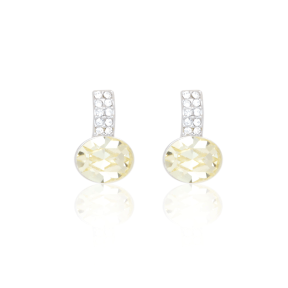 Earrings - E1497