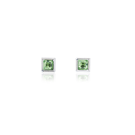 Earrings - E1529