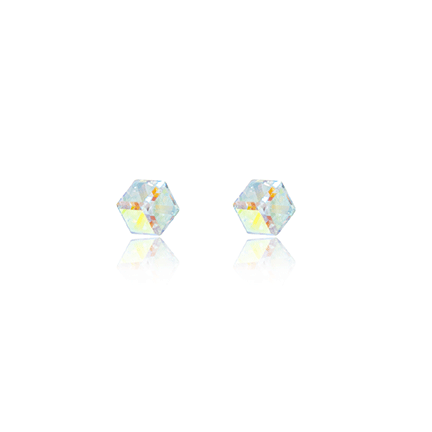 Earrings - E1547