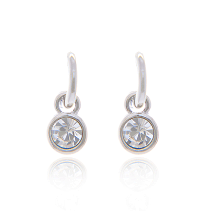 Earrings - E1569