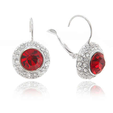 Earrings - E1572