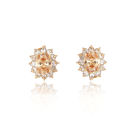 Earrings - E1592