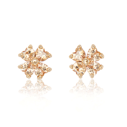 Earrings - E1594