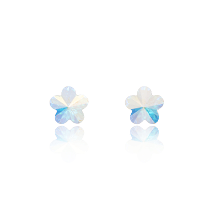 Earrings - E1620