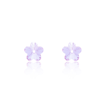 Earrings - E1621