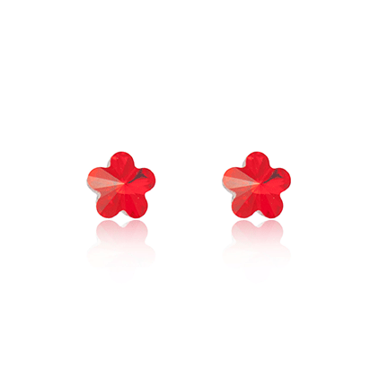 Earrings - E1622