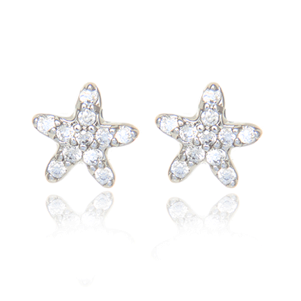Earrings - E1661
