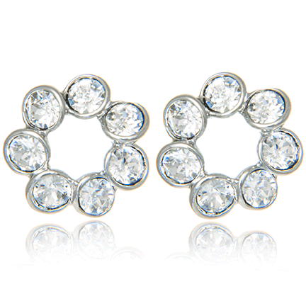 Earrings - E1678
