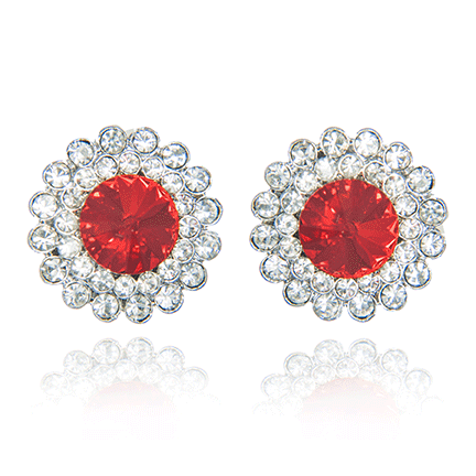 Earrings - E1694