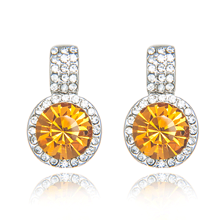 Earrings - E1698