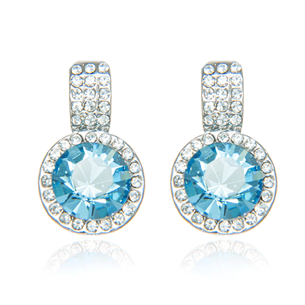 Earrings - E1699