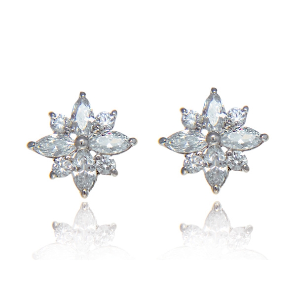 Earrings - E1720