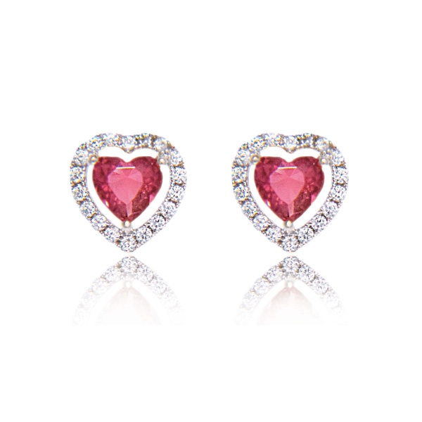 Earrings - E1733