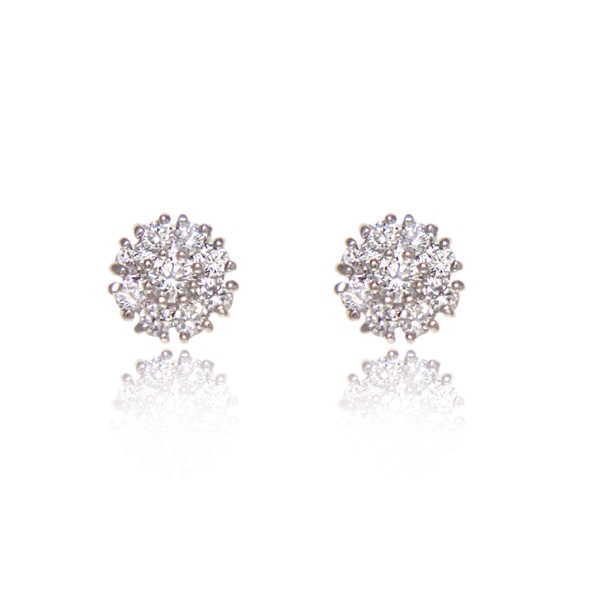 Earrings - E1735