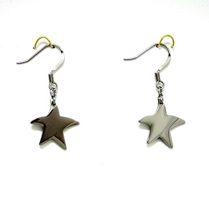 Earrings - SE129