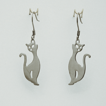 Earrings - SE148