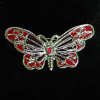 Brooches - BR5106