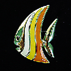 Brooches - BR5107