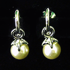 Earrings - E1039